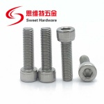 DIN912 SOCKET HEXGON CAP SCREW ALLEN BOLT SS304 SS316