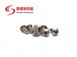 SS304 stainless steel TRI WING screw custimized available