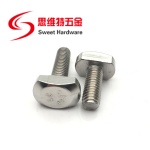 High quality inox 304 stainless steel T bolt